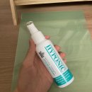 늘봄 그루밍 이미지