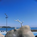 세파에 따르지 이미지