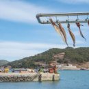 (주) 알지멀티 이미지