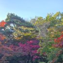 새롬동_무지개타워앞 | 서울근교 단풍명소 화담숲 실시간 단풍시기 예약방법 주차타워후기