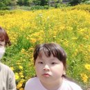 소산서원 유아숲체험원 이미지