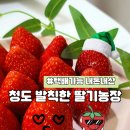 기택농장 네이버블로그