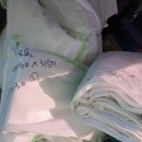 청솔골프 이미지