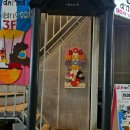 J.K 펫샵 이미지