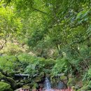 숲속의 정든집 야영장 이미지