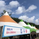 삼정보건진료소 | 울산 동구 임시 선별진료소에서 코로나 검사 후기