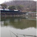 임진리 이미지