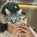 오브희헤어 | 1월 요약본