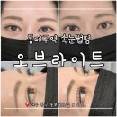 더리터 동대구역아펠리체점 | [동대구역 속눈썹펌]1:1 맞춤 컬로 바짝 올린 '오브라이트' 노글루 영양펌 솔직 후기