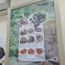 금학로1 | 실한 우렁이 한가득 우렁쌈밥 우렁전 다 맛있는 용인우렁각시 후기
