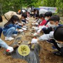 익산초등학교 이미지