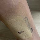 피노코로 이미지