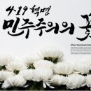 땡구야놀자 이미지