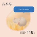 유진동물병원 | 저장해 놓은 김에 올리는 22~38주
