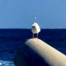 동해면보건지소 이미지