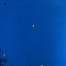 비벼먹는 미술센터 이미지