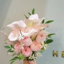 헤라결혼정보 이미지