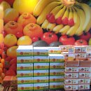 중동청과 이미지