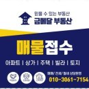 금메달공인중개사사무소 이미지