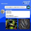 소함아쿠아