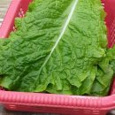 한비카서비스 이미지