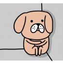 대명모터스 이미지