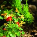 장세영농장 이미지