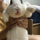 씨제이올리브영(주) 구리수택점 | 시간을 잘라내어 여기에 모아두고