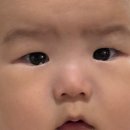 마이아 | 마이아 두유제조기로 이유식 댕쉽게 만드는 꿀팁 (내돈내산 마이아 두유제조기 후기)