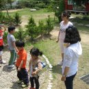 숲속마을어린이집 이미지