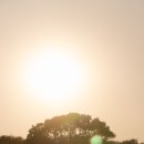 하늘예 태권도 이미지