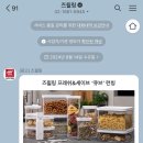 부산애견호텔 24시 강아지 유치원 미용 도그드림 서면점 이미지