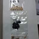 글리디