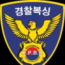 밤짐복싱 이미지