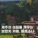 삼성초교 | 제주 브런치카페 추천 페르소나 애견동반가능