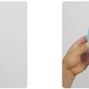 요술강아지 이미지