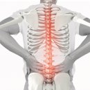 김형석외과의원 | 노원역 도수치료로 허리디스크 개선하려면? <전문의 작성>