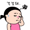 세종모터스 이미지