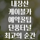 내장산 케이블카 예약꿀팁 단풍터널 최고의 순간