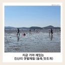 [국도77] 태안군 진산리 | 태안 진산리 갯벌체험｜동죽.맛조개 잡히는 양 (해루질 후기)