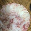 성유횟집