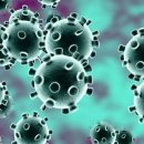 바로메드 이미지