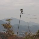 고을농장 이미지