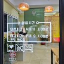 편백돈나무