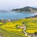 청산도봄 이미지