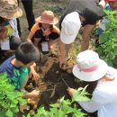 청운농촌체험마을 이미지