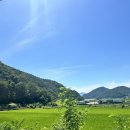 시누스 | 남해 풀빌라 여행 숙소 추천 개별테라스가 있는 시누스펜션