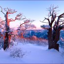 꿈꾸는 가 이미지