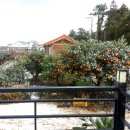 안선생민박 이미지