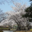 경상감영공원 이미지